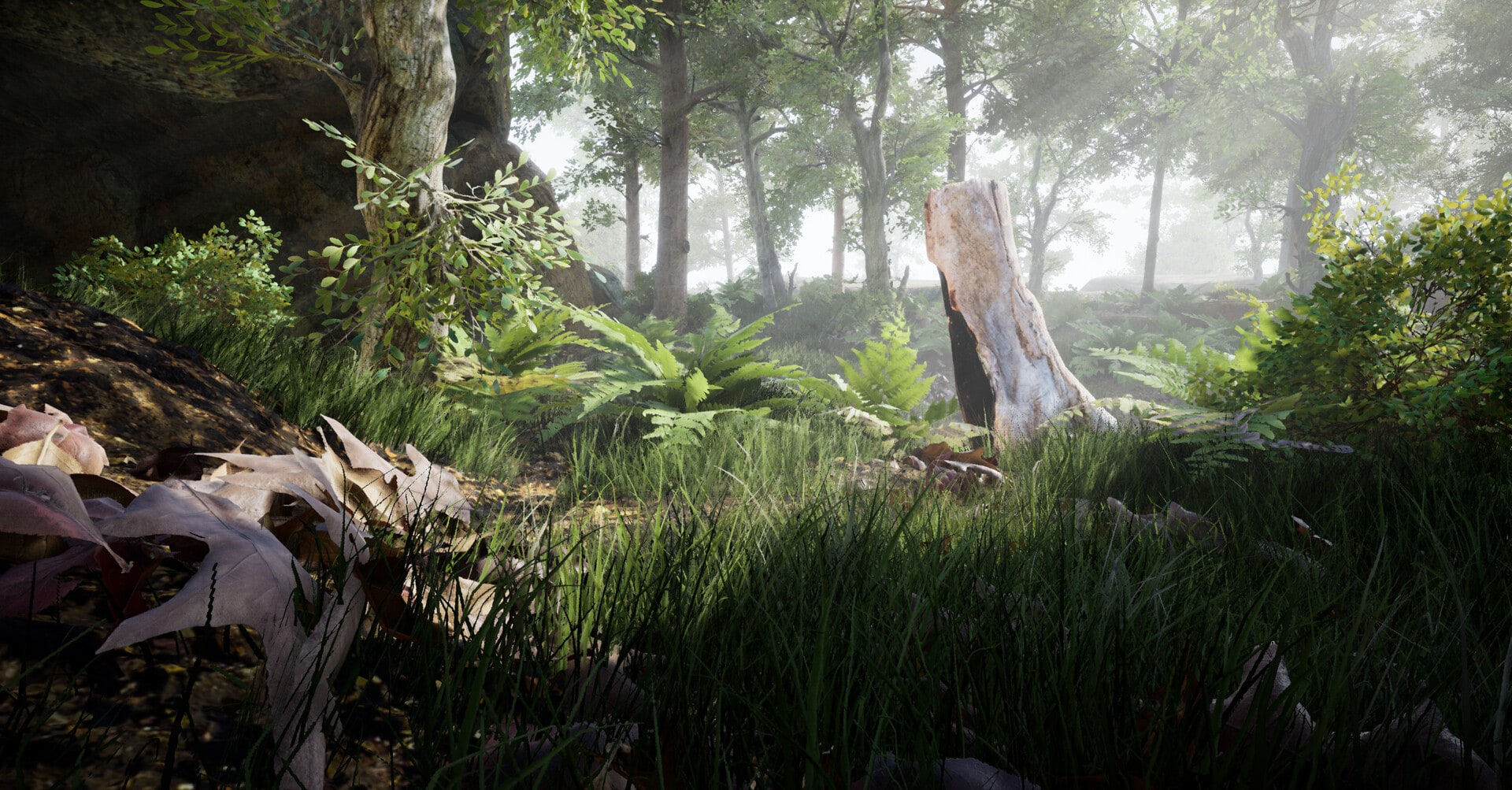 Lost in Beauty — project image 5