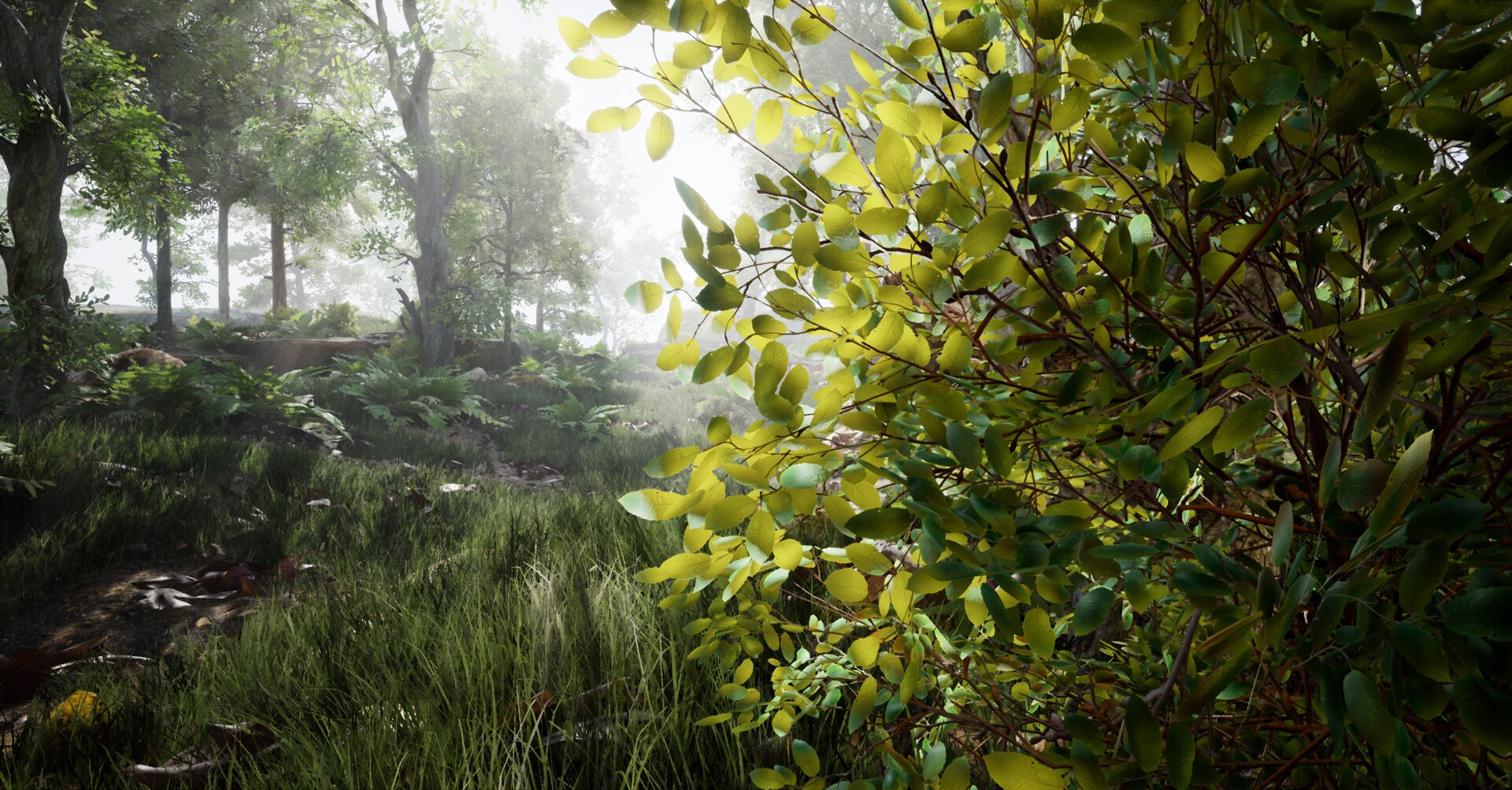 Lost in Beauty — project image 7