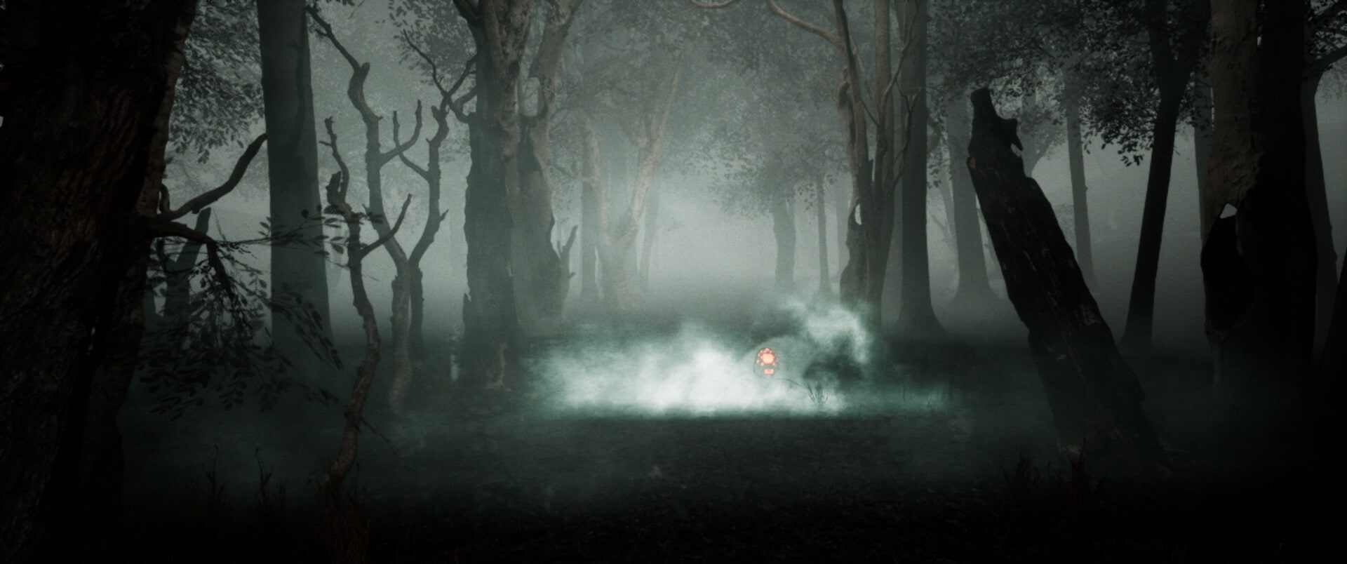 Spirit of the Woods — project image 4